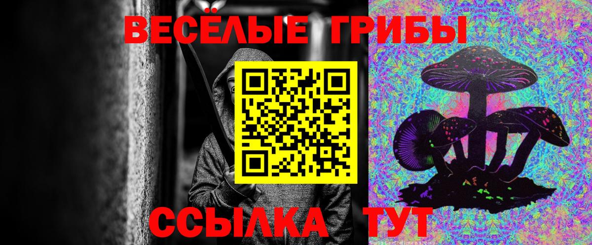 Псилоцибиновые грибы GOLDEN TEACHER  Вход с VPN  Красноярск 