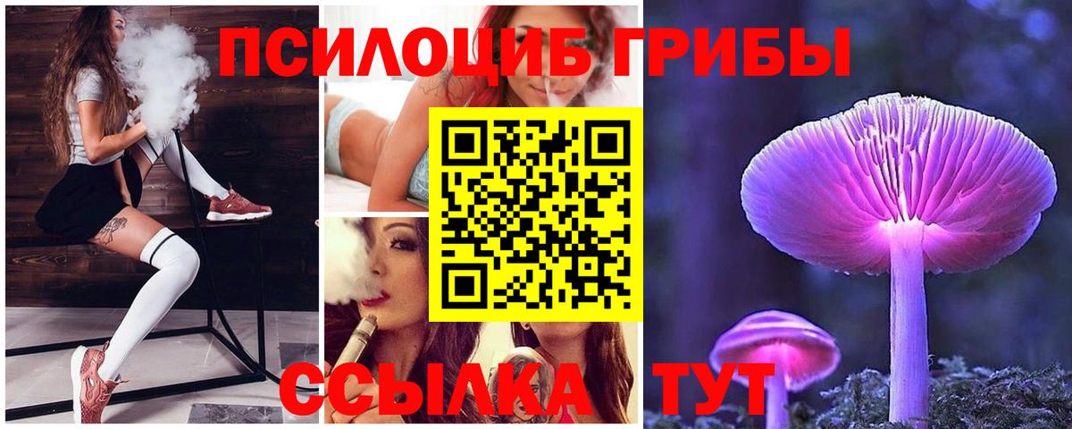 Псилоцибиновые грибы Psilocybe Красноярск